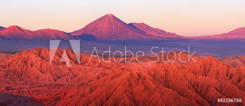 Picture of Catarpe Licancabur volcano Atacama desert Chile
